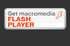 flashplayer